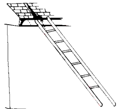 Man climbing ladder.